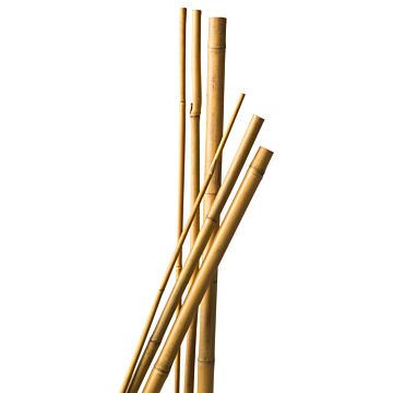 8711338402016_1.JPG